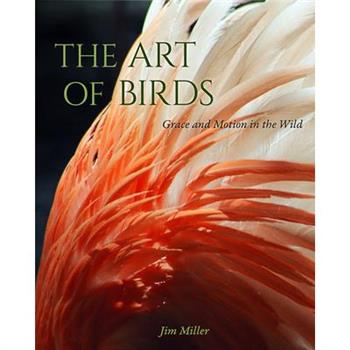 The Art of Birds