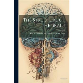 The Structure of the Brain