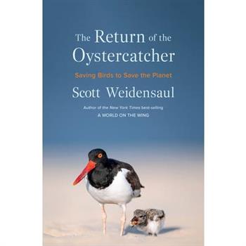 The Return of the Oystercatcher