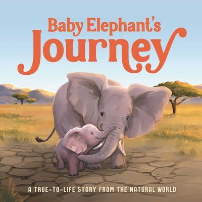 Baby Elephant’s Journey