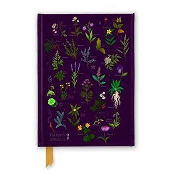 Anna Stead: For Spells & Potions (Foiled Journal)