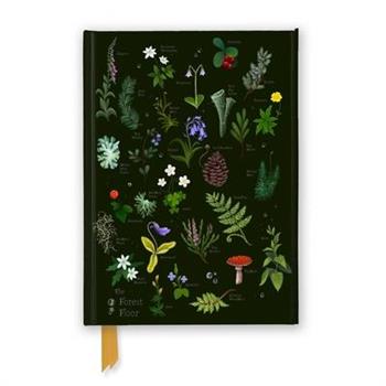 Anna Stead: The Forest Floor (Foiled Journal)