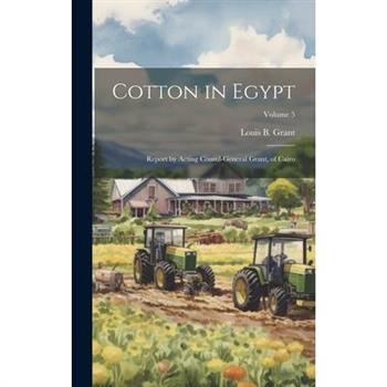 Cotton in Egypt