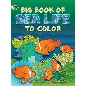 Big Book of Sea Life to Color
