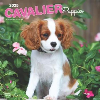 Cavalier King Charles Spaniel Puppies 2025 12 X 24 Inch Monthly Square Wall Calendar Plastic-Free Cavalier King Charles Spaniel Puppies 2025 12 X 24 Inch Monthly Square Wall Calendar Plastic-Free