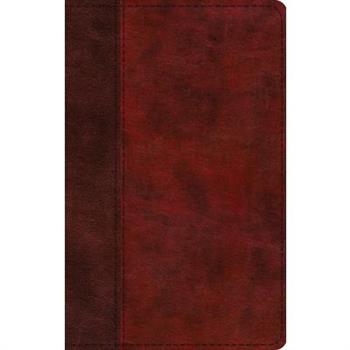 ESV Large Print Thinline Bible (Trutone, Burgundy/Red, Timeless Design)