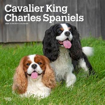 Cavalier King Charles Spaniels 2025 12 X 24 Inch Monthly Square Wall Calendar Plastic-Free Cavalier King Charles Spaniels 2025 12 X 24 Inch Monthly Square Wall Calendar Plastic-Free