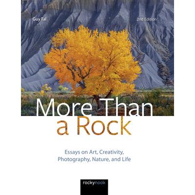 More Than a Rock, 2nd Edition