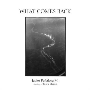 What Comes Back