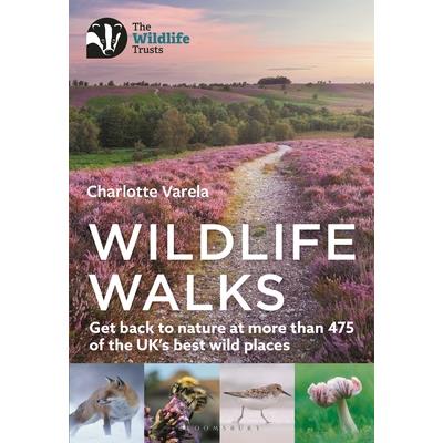 Wildlife Walks