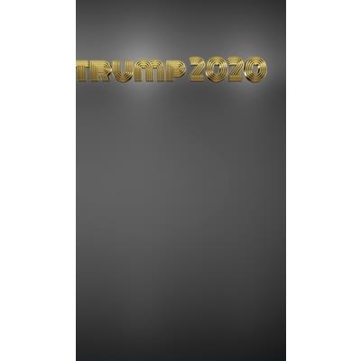 Trump-2020 writing Drawing Journal.