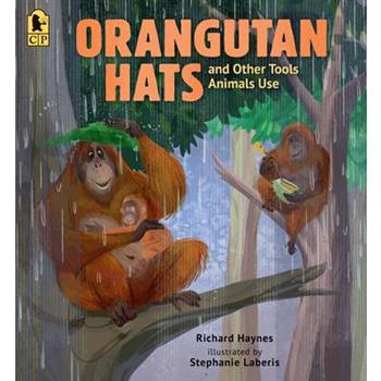 Orangutan Hats and Other Tools Animals Use