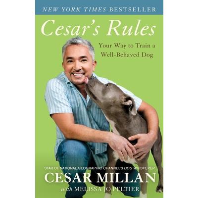Cesar's Rules