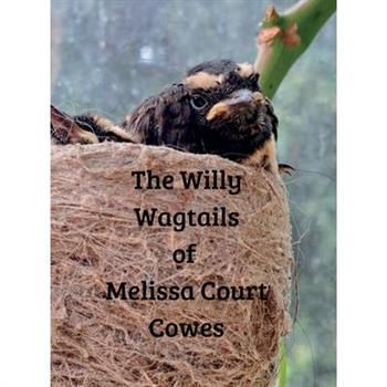 The Willy Wagtails of Melissa Court Cowes