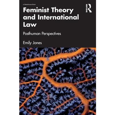 Feminist Theory and International Law