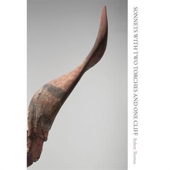 Sonnets with Two Torches and One Cliff