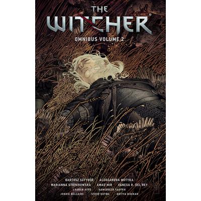 The Witcher Omnibus Volume 2