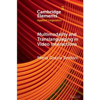 Multimodality and Translanguaging in Video Interactions