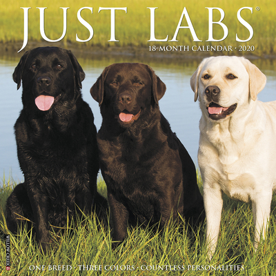 Just Labs 2020 Calendar(Wall)