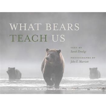 What Bears Teach Us