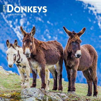 Donkeys 2025 12 X 24 Inch Monthly Square Wall Calendar Plastic-Free Donkeys 2025 12 X 24 Inch Monthly Square Wall Calendar Plastic-Free