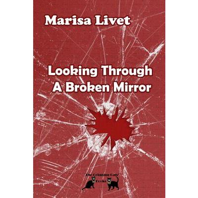 Looking Through A Broken Mirror