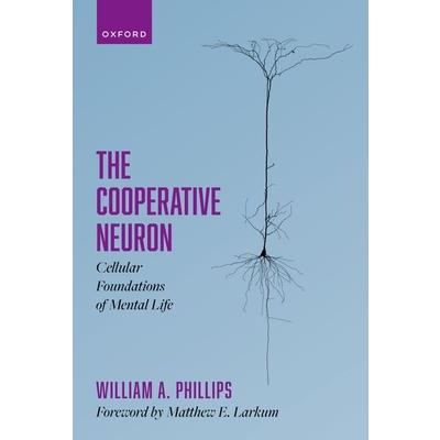 The Cooperative Neuron