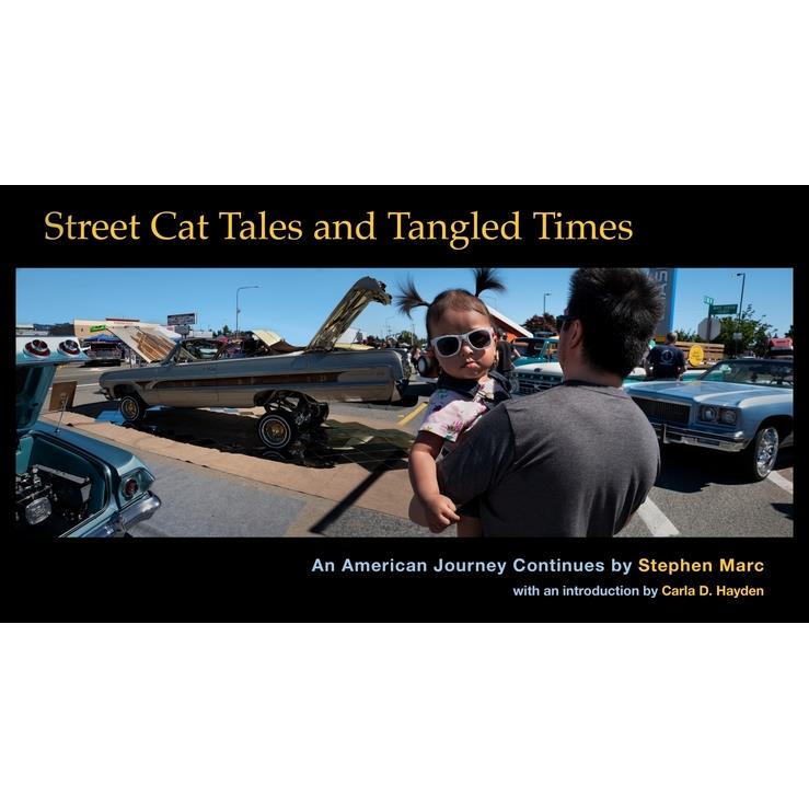 Street Cat Tales and Tangled Times