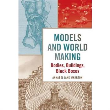 Models and World Making