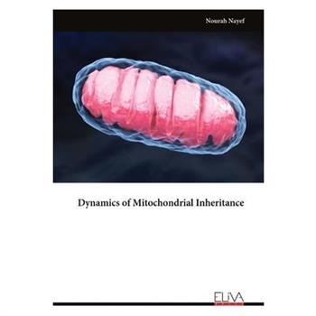 Dynamics of Mitochondrial Inheritance
