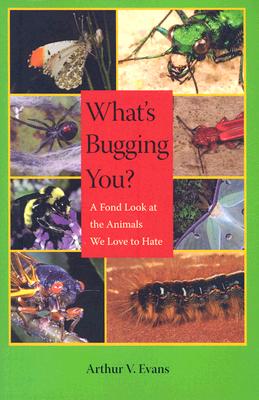 What’s Bugging You?