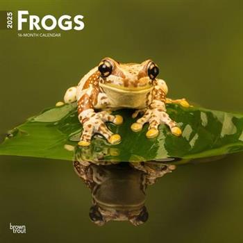 Frogs 2025 12 X 24 Inch Monthly Square Wall Calendar Plastic-Free Frogs 2025 12 X 24 Inch Monthly Square Wall Calendar Plastic-Free