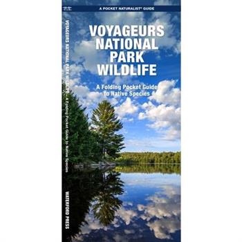 Voyageurs National Park Wildlife