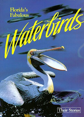 Florida’s Fabulous Waterbirds
