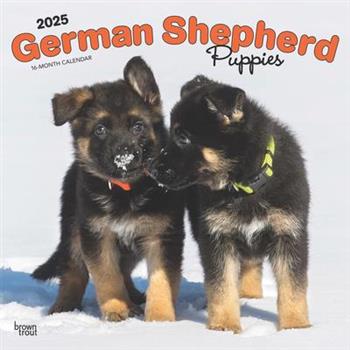 German Shepherd Puppies 2025 12 X 24 Inch Monthly Square Wall Calendar Plastic-Free German Shepherd Puppies 2025 12 X 24 Inch Monthly Square Wall Calendar Plastic-Free