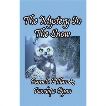 The Mystery In The Snow