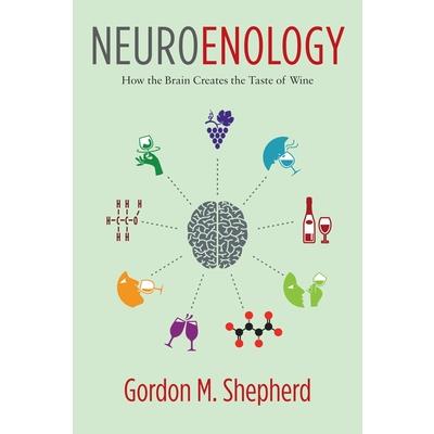 Neuroenology