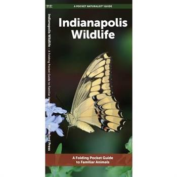Indianapolis Wildlife