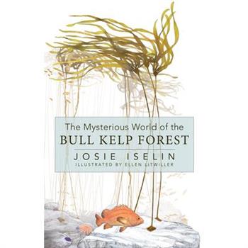 The Mysterious World of the Bull Kelp Forest