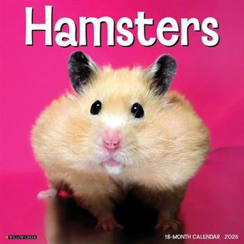 Hamsters 2026 12 X 12 Wall Calendar
