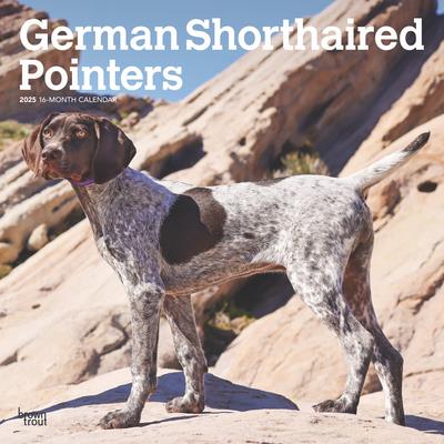 German Shorthaired Pointers 2025 12 X 24 Inch Monthly Square Wall Calendar Plastic-Free German Shorthaired Pointers 2025 12 X 24 Inch Monthly Square Wall Calendar Plastic-Free