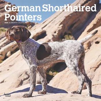 German Shorthaired Pointers 2025 12 X 24 Inch Monthly Square Wall Calendar Plastic-Free German Shorthaired Pointers 2025 12 X 24 Inch Monthly Square Wall Calendar Plastic-Free