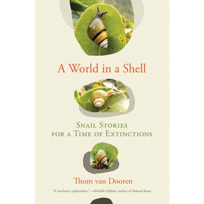A World in a Shell