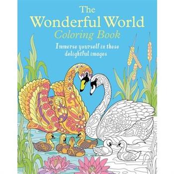 The Wonderful World Coloring Book