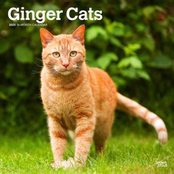 Ginger Cats 2025 12 X 24 Inch Monthly Square Wall Calendar Plastic-Free Ginger Cats 2025 12 X 24 Inch Monthly Square Wall Calendar Plastic-Free
