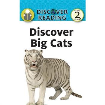 Discover Big Cats