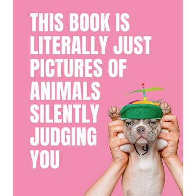 This Book Is Literally Just Pictures of Animals Silently Judging You