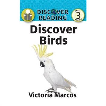 Discover Birds