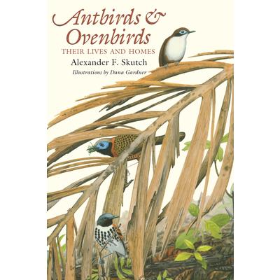 Antbirds and Ovenbirds