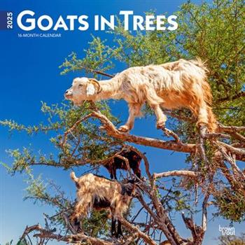 Goats in Trees 2025 12 X 24 Inch Monthly Square Wall Calendar Plastic-Free Goats in Trees 2025 12 X 24 Inch Monthly Square Wall Calendar Plastic-Free